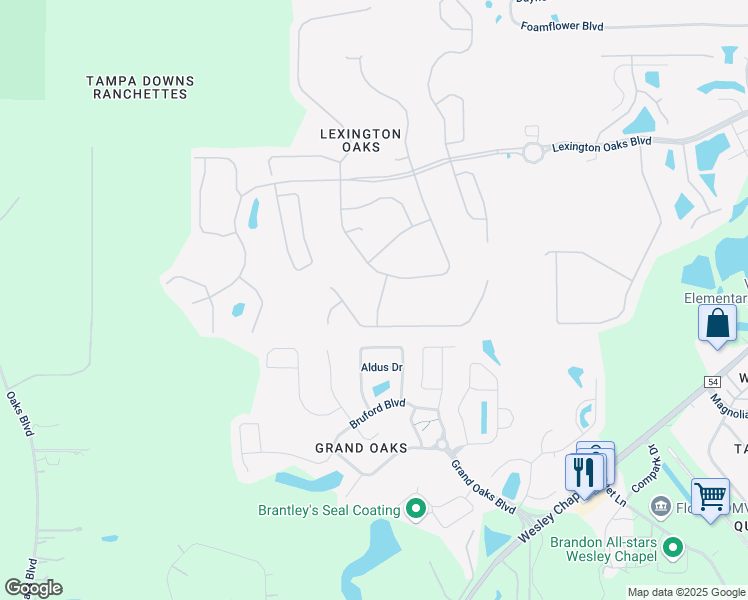 map of restaurants, bars, coffee shops, grocery stores, and more near 25749 Hartack Drive in Wesley Chapel