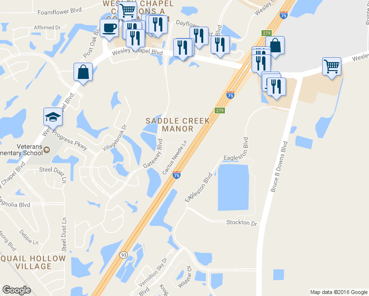 map of restaurants, bars, coffee shops, grocery stores, and more near 5052 Cactus Needle Lane in Wesley Chapel
