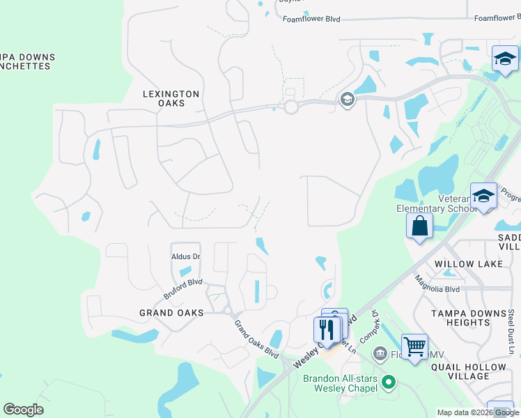 map of restaurants, bars, coffee shops, grocery stores, and more near 26000 Risen Star Drive in Wesley Chapel