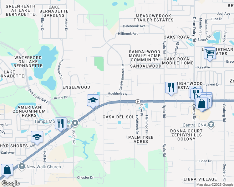 map of restaurants, bars, coffee shops, grocery stores, and more near Buehholz Lane in Pasco County
