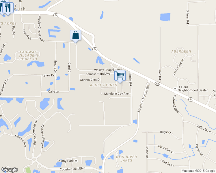 map of restaurants, bars, coffee shops, grocery stores, and more near 31021 Harper Branch Place in Wesley Chapel