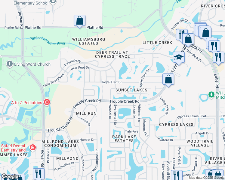 map of restaurants, bars, coffee shops, grocery stores, and more near 8049 Baytree Drive in New Port Richey