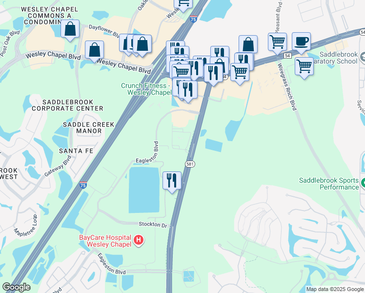map of restaurants, bars, coffee shops, grocery stores, and more near 5101 Bruce B Downs Boulevard in Wesley Chapel