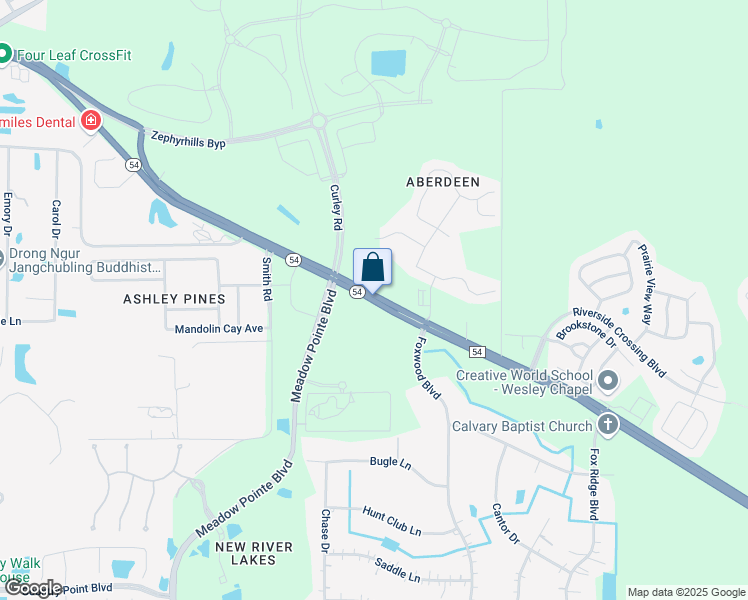 map of restaurants, bars, coffee shops, grocery stores, and more near 31108 Florida 54 in Wesley Chapel
