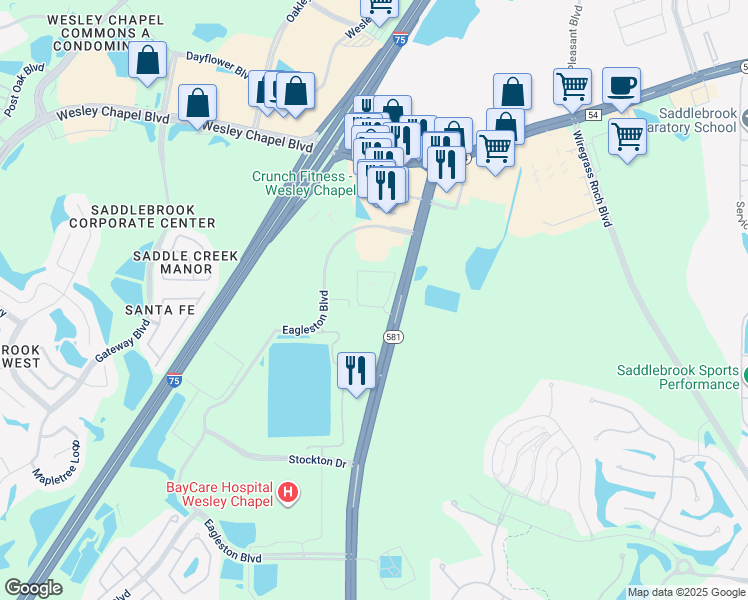 map of restaurants, bars, coffee shops, grocery stores, and more near 5101 Bruce B Downs Boulevard in Wesley Chapel