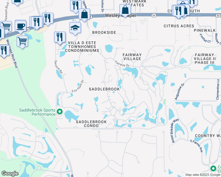 map of restaurants, bars, coffee shops, grocery stores, and more near in Wesley Chapel