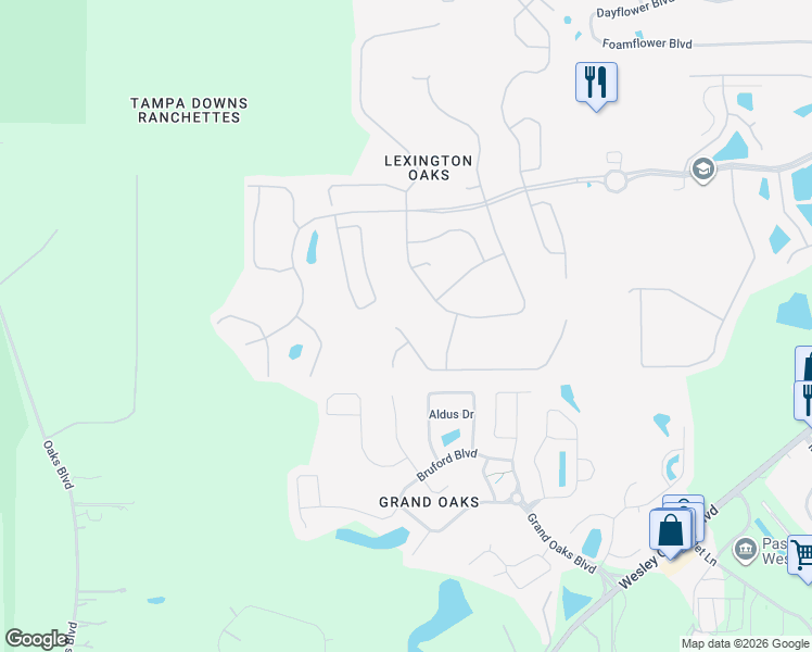 map of restaurants, bars, coffee shops, grocery stores, and more near 25551 Risen Star Drive in Zephyrhills