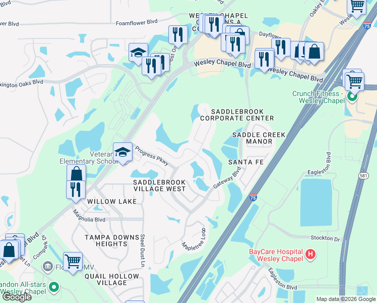 map of restaurants, bars, coffee shops, grocery stores, and more near 27154 Hollybrook Trail in Wesley Chapel