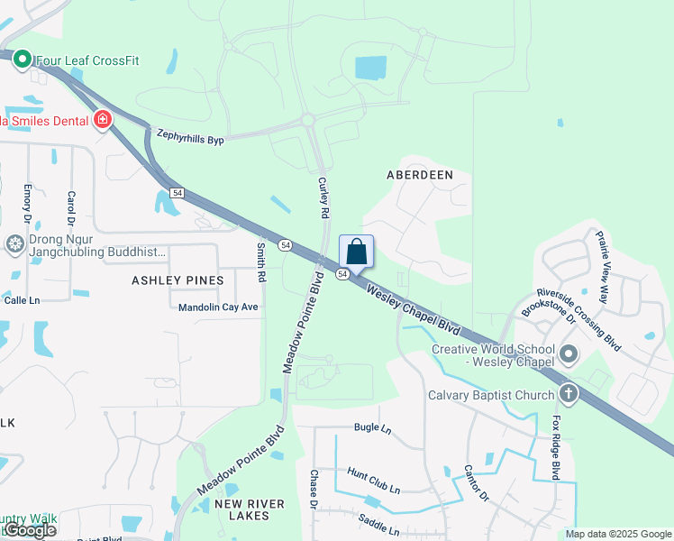 map of restaurants, bars, coffee shops, grocery stores, and more near Highway 54 in Wesley Chapel