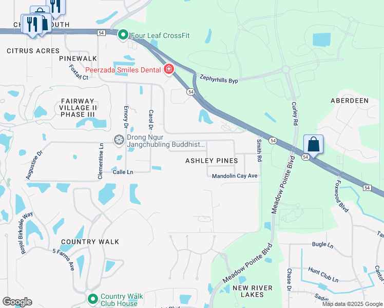 map of restaurants, bars, coffee shops, grocery stores, and more near 30908 Sonnet Glen Drive in Wesley Chapel
