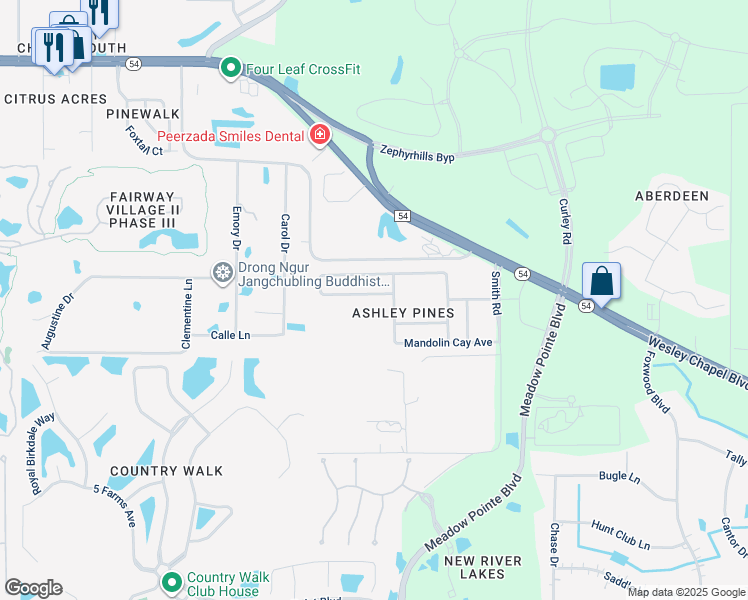map of restaurants, bars, coffee shops, grocery stores, and more near 30908 Sonnet Glen Drive in Wesley Chapel