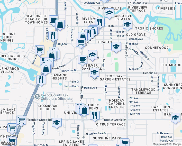 map of restaurants, bars, coffee shops, grocery stores, and more near 5624 Cecelia Drive in New Port Richey