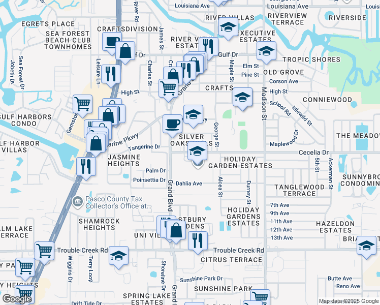 map of restaurants, bars, coffee shops, grocery stores, and more near 5624 Cecelia Drive in New Port Richey