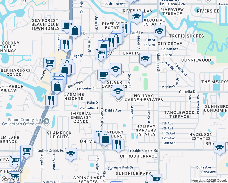 map of restaurants, bars, coffee shops, grocery stores, and more near 5642 Cecelia Drive in New Port Richey