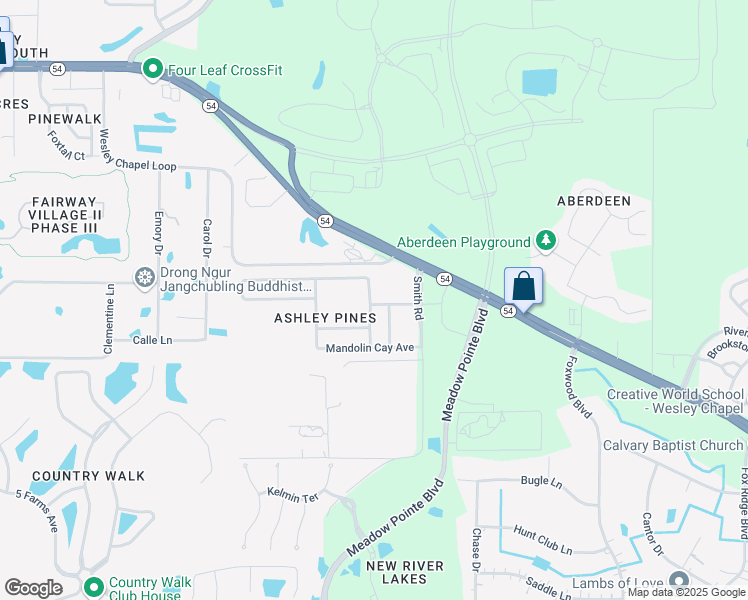 map of restaurants, bars, coffee shops, grocery stores, and more near 31111 Ashley Pines Place in Wesley Chapel