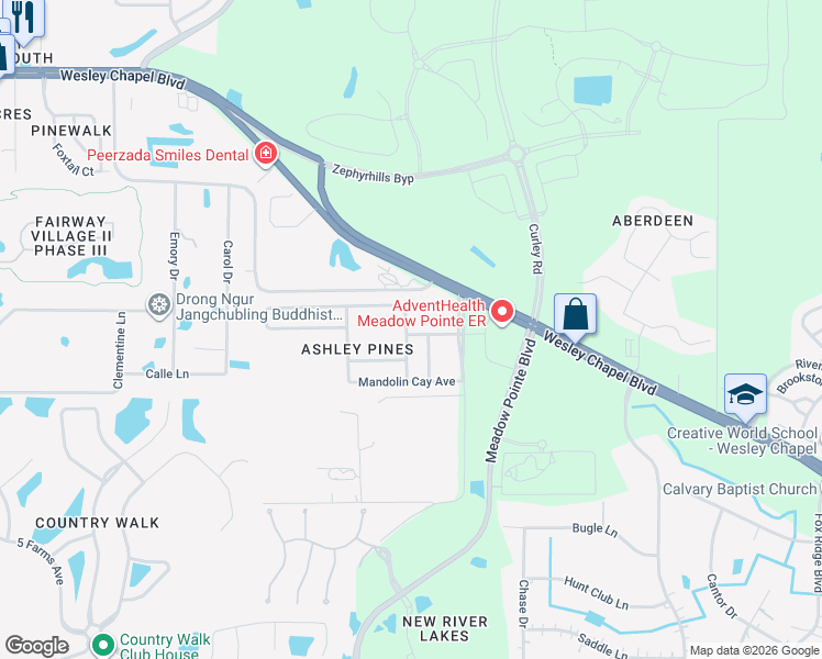 map of restaurants, bars, coffee shops, grocery stores, and more near 31111 Ashley Pines Place in Wesley Chapel