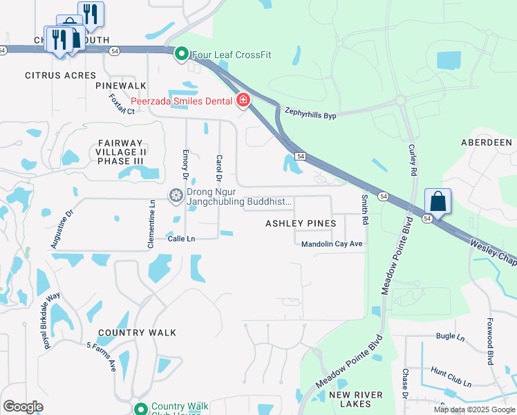 map of restaurants, bars, coffee shops, grocery stores, and more near 30819 Sonnet Glen Drive in Wesley Chapel