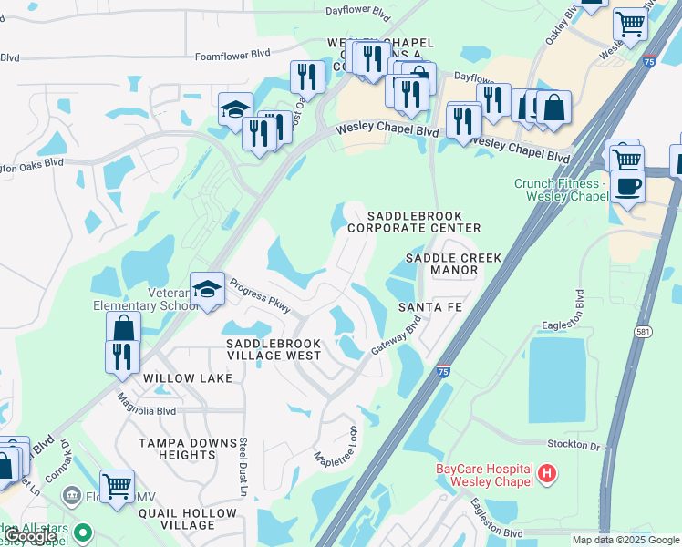 map of restaurants, bars, coffee shops, grocery stores, and more near 5143 Maplebrook Way in Wesley Chapel
