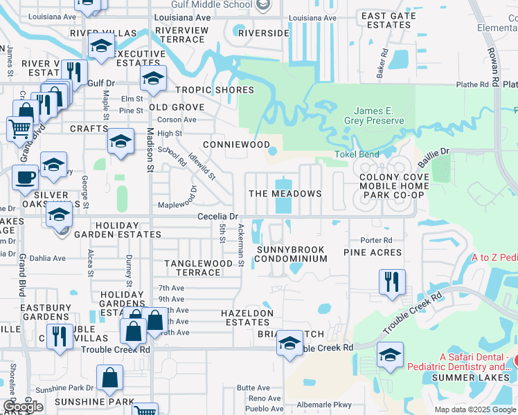 map of restaurants, bars, coffee shops, grocery stores, and more near 5018 Lillilea Lane in New Port Richey