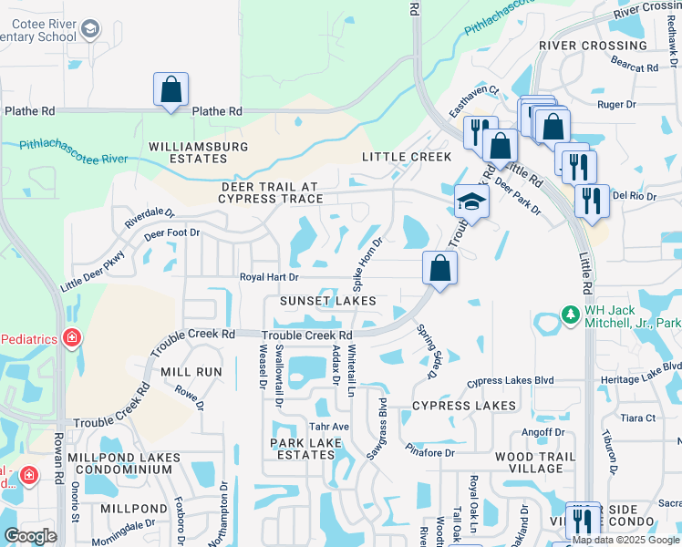 map of restaurants, bars, coffee shops, grocery stores, and more near 8247 Royal Hart Drive in New Port Richey