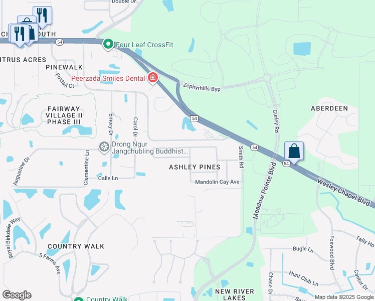map of restaurants, bars, coffee shops, grocery stores, and more near 30911 Temple Stand Avenue in Wesley Chapel