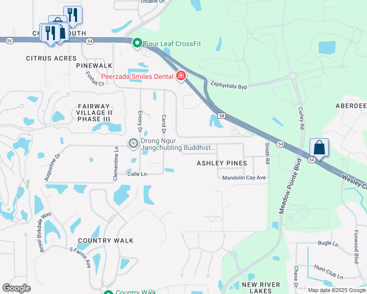 map of restaurants, bars, coffee shops, grocery stores, and more near 30813 Temple Stand Avenue in Wesley Chapel