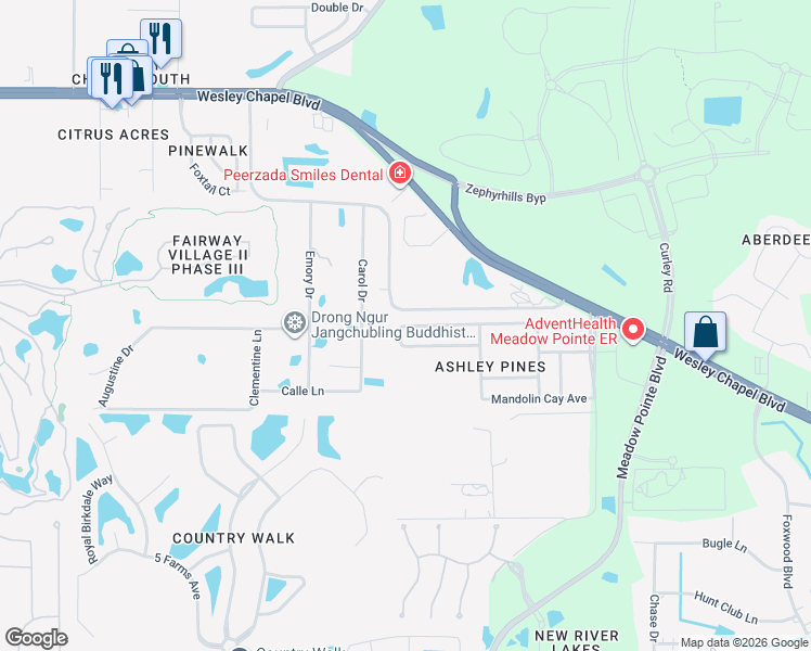 map of restaurants, bars, coffee shops, grocery stores, and more near 30750 Temple Stand Avenue in Wesley Chapel