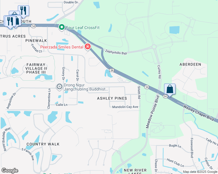 map of restaurants, bars, coffee shops, grocery stores, and more near Temple Stand Avenue in Wesley Chapel