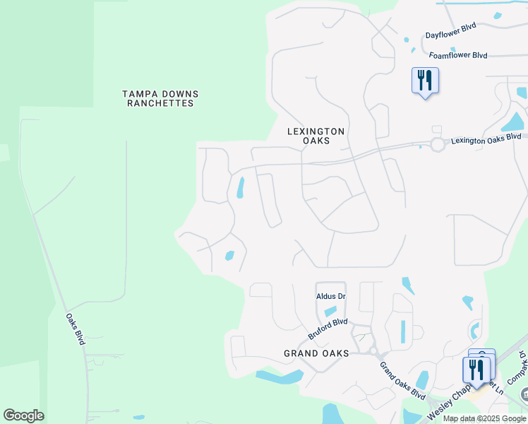 map of restaurants, bars, coffee shops, grocery stores, and more near 5216 Gato Del Sol Circle in Wesley Chapel