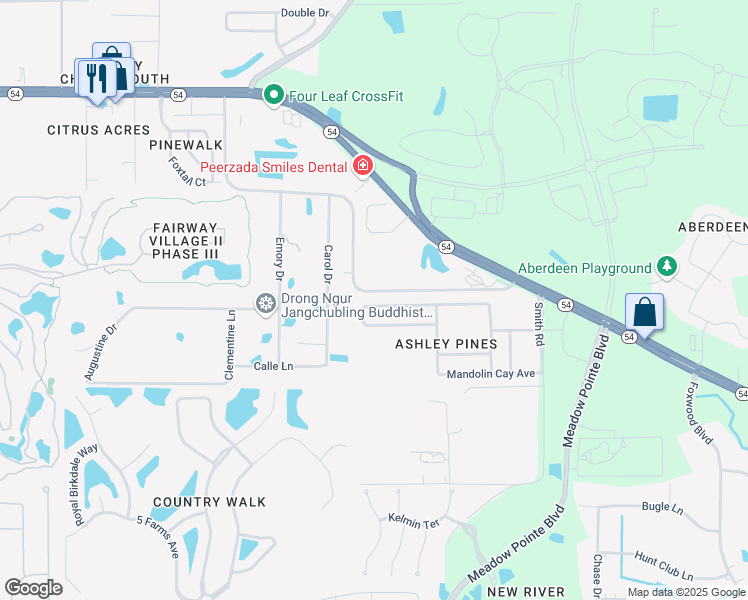 map of restaurants, bars, coffee shops, grocery stores, and more near 30801 Temple Stand Avenue in Wesley Chapel