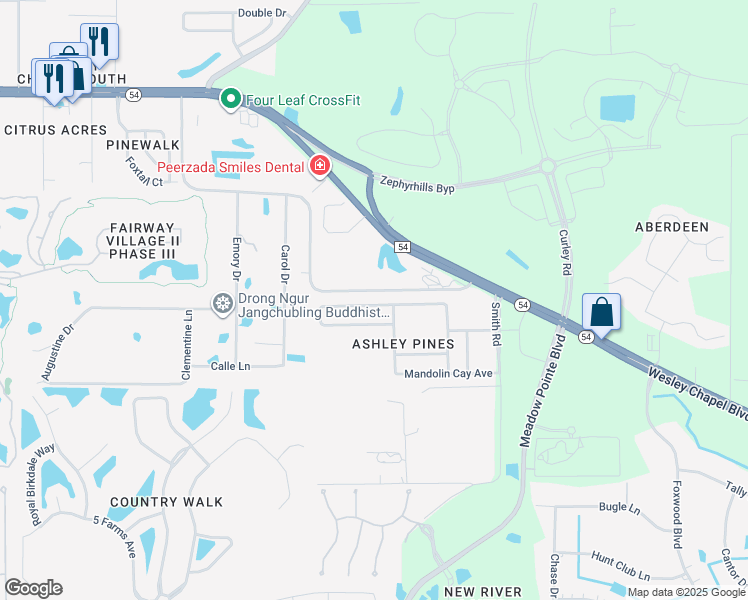 map of restaurants, bars, coffee shops, grocery stores, and more near 30911 Temple Stand Avenue in Wesley Chapel