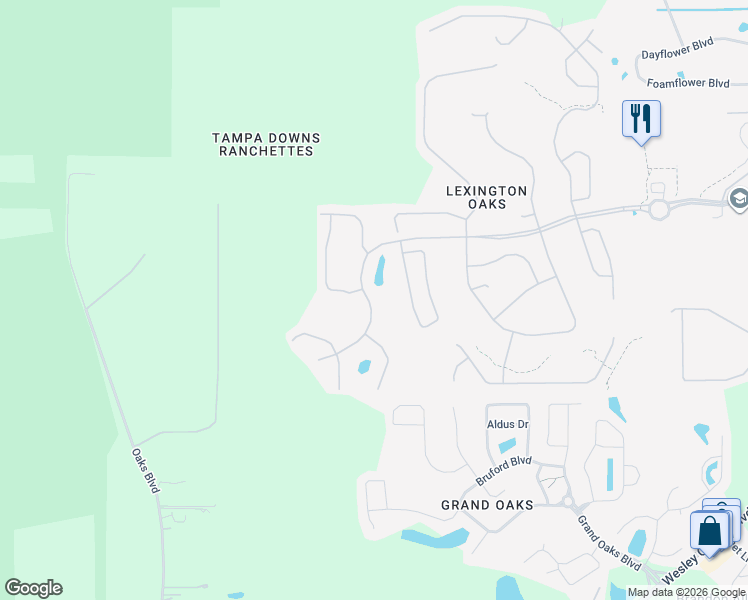 map of restaurants, bars, coffee shops, grocery stores, and more near 25324 Lexington Oaks Boulevard in Wesley Chapel