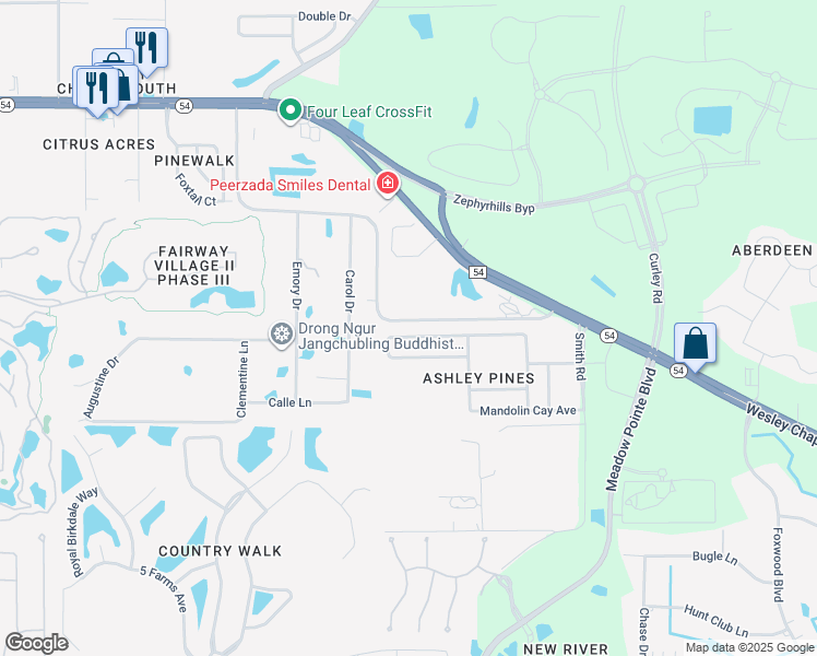 map of restaurants, bars, coffee shops, grocery stores, and more near 30813 Temple Stand Avenue in Wesley Chapel