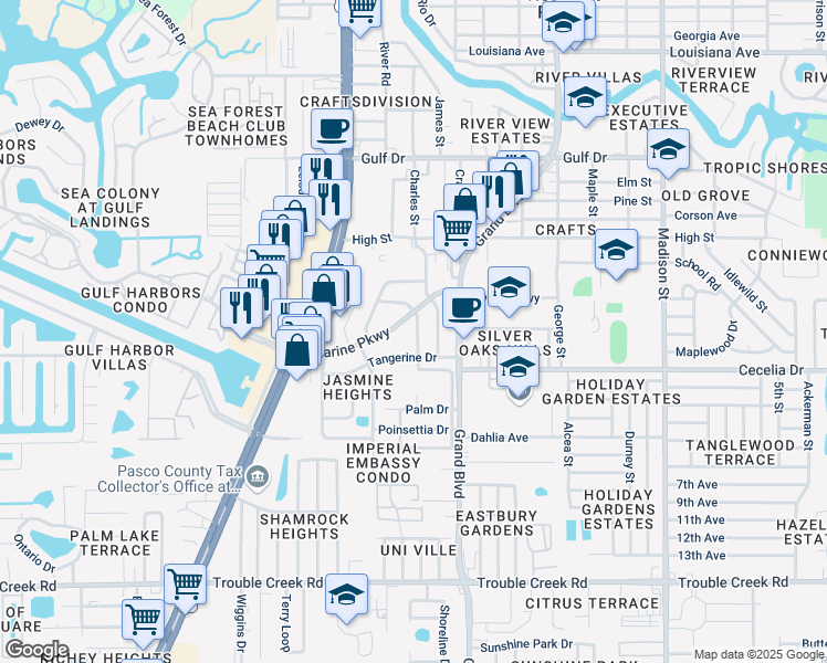 map of restaurants, bars, coffee shops, grocery stores, and more near 5033 Tangelo Drive in New Port Richey
