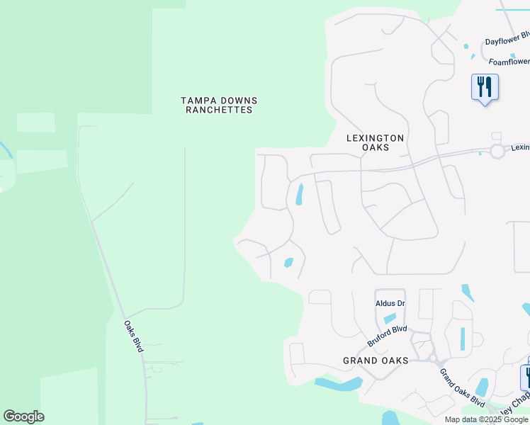 map of restaurants, bars, coffee shops, grocery stores, and more near 5225 Algerine PIace in Zephyrhills