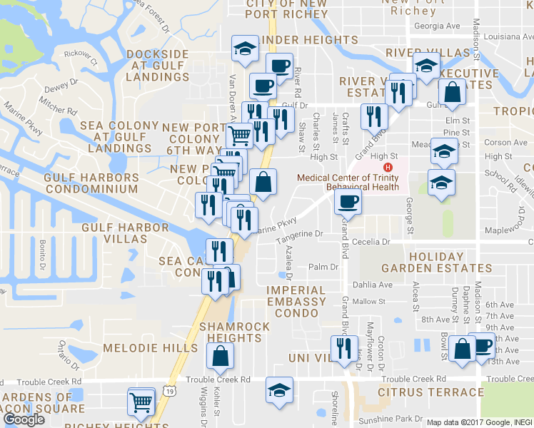 map of restaurants, bars, coffee shops, grocery stores, and more near 5103 Camelia Drive in New Port Richey
