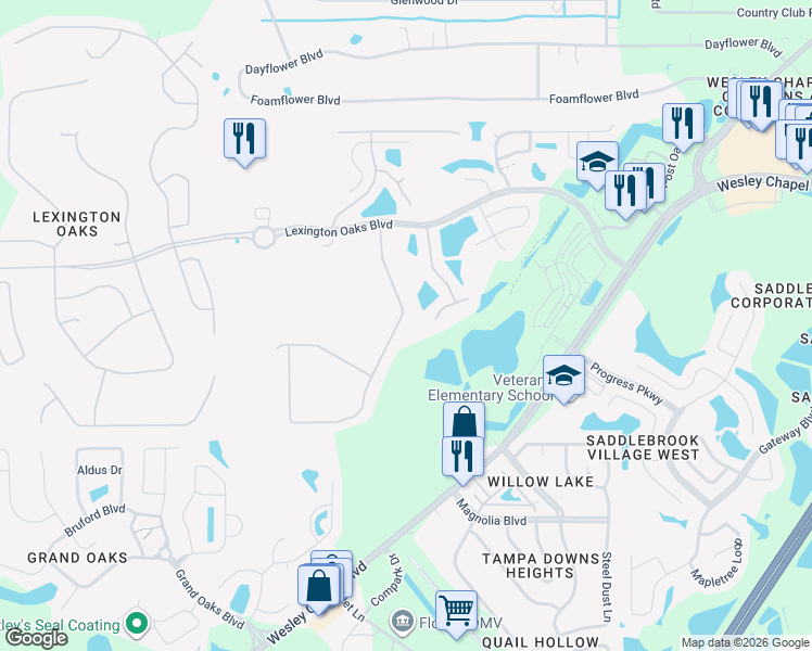 map of restaurants, bars, coffee shops, grocery stores, and more near 5226 Silver Charm Terrace in Zephyrhills