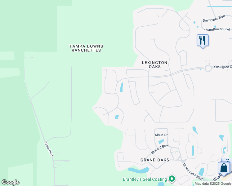 map of restaurants, bars, coffee shops, grocery stores, and more near 25401 Lexington Oaks Boulevard in Wesley Chapel
