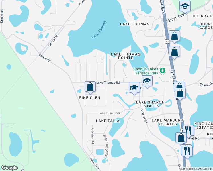 map of restaurants, bars, coffee shops, grocery stores, and more near 20935 Riverforest Drive in Land O' Lakes