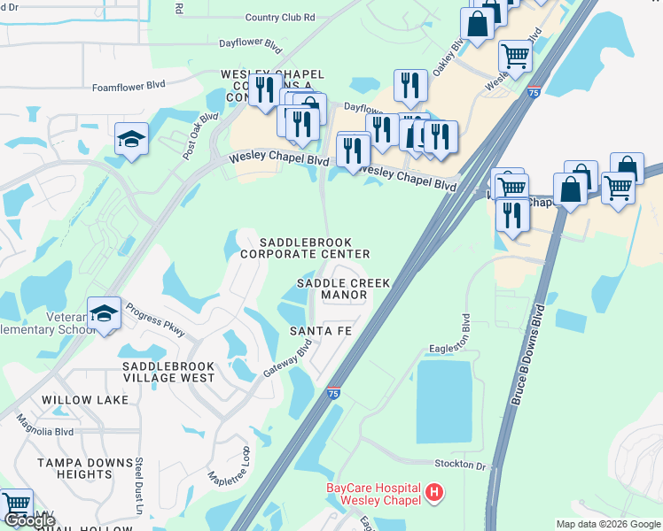 map of restaurants, bars, coffee shops, grocery stores, and more near 5236 Blue Roan Way in Wesley Chapel