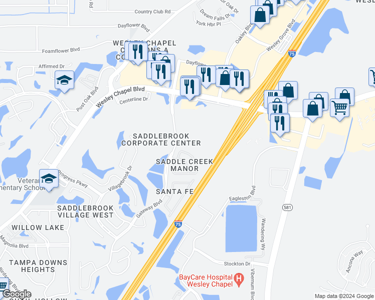 map of restaurants, bars, coffee shops, grocery stores, and more near 27563 Pleasure Ride Loop in Wesley Chapel