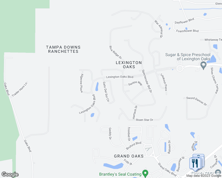 map of restaurants, bars, coffee shops, grocery stores, and more near 5050 Gato Del Sol Circle in Wesley Chapel