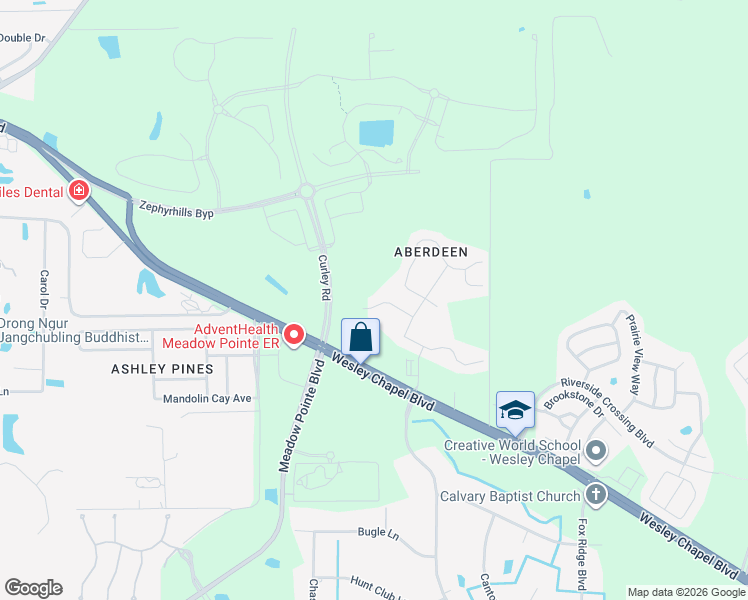 map of restaurants, bars, coffee shops, grocery stores, and more near 31529 Earn Drive in Wesley Chapel