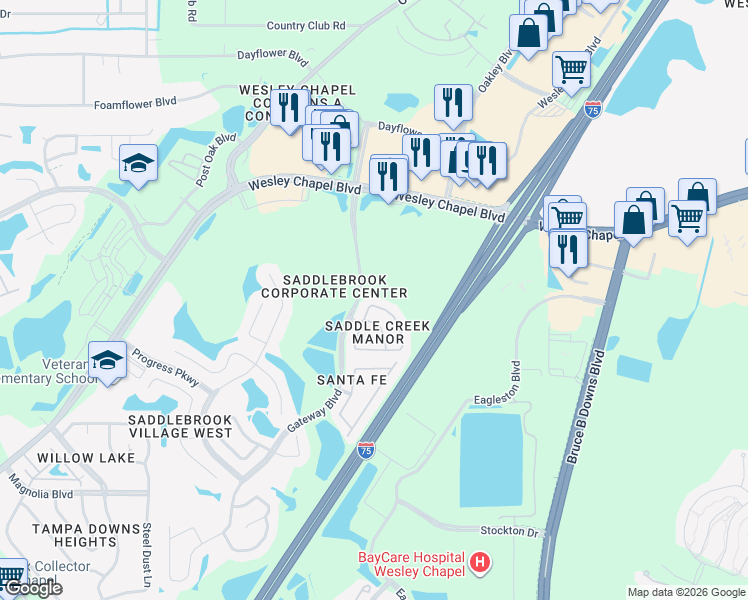 map of restaurants, bars, coffee shops, grocery stores, and more near 5236 Blue Roan Way in Wesley Chapel