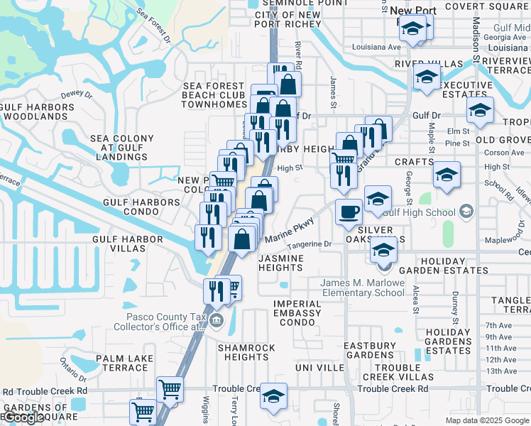 map of restaurants, bars, coffee shops, grocery stores, and more near 5103 Camelia Drive in New Port Richey