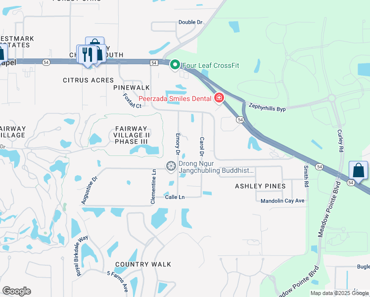 map of restaurants, bars, coffee shops, grocery stores, and more near 5311 Emory Drive in Zephyrhills