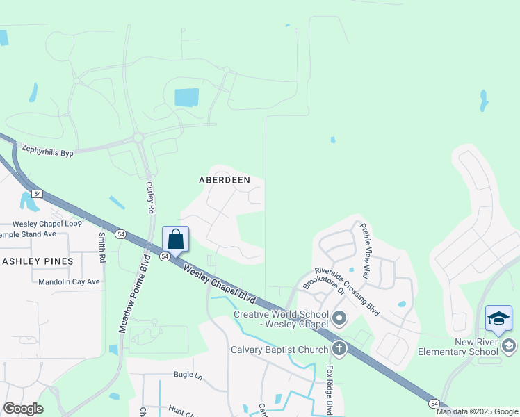 map of restaurants, bars, coffee shops, grocery stores, and more near 5243 Tummel Court in Wesley Chapel