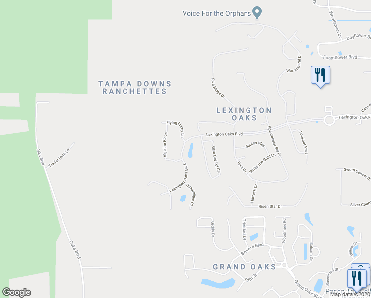 map of restaurants, bars, coffee shops, grocery stores, and more near 25418 Lexington Oaks Boulevard in Wesley Chapel
