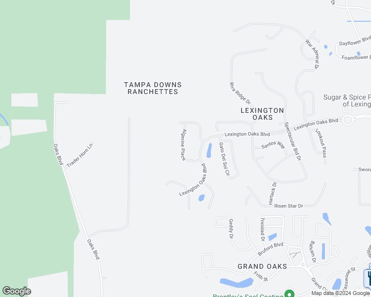 map of restaurants, bars, coffee shops, grocery stores, and more near 5314 Algerine PIace in Wesley Chapel