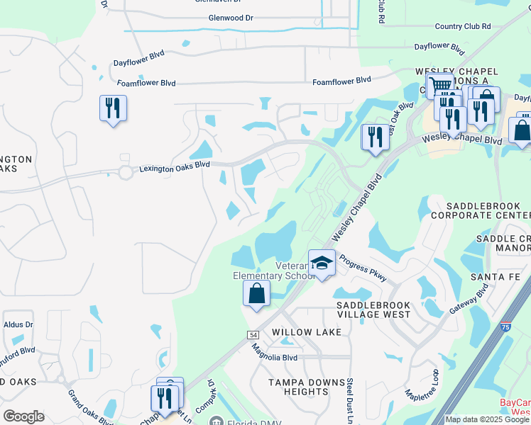 map of restaurants, bars, coffee shops, grocery stores, and more near 26619 Tim Tam Place in Zephyrhills